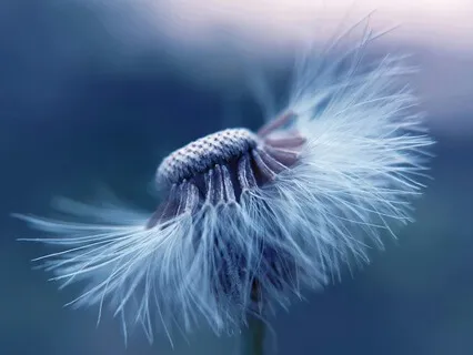 Relief For Anxiety While Waiting