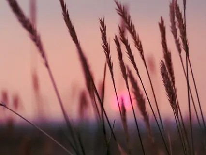 10-Minute Meditation For Positive Energy