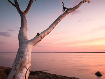 Positive Messages To & From Your Higher Self