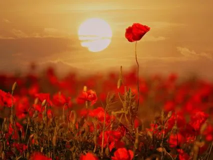 10-Minute Meditation For Self-Love