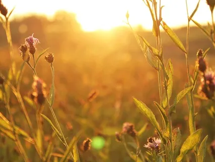 10-Minute Meditation For Sleep