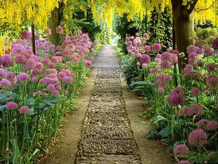 Calm Your Anxious Mind & Heart