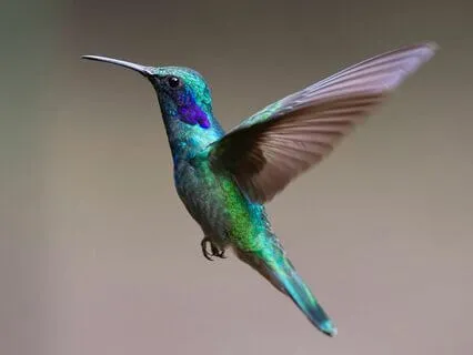 10 Minute Meditation On Giving And Receiving Generosity