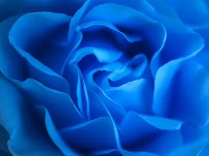 10 Minute Practice | Chakra Colour Visualisation