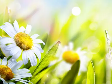 10 Minute Practice To Boost Energy