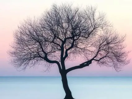 10 Minute Meditation To Calm Your Busy Mind