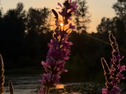 10-Minute Meditation To Hold Space For Yourself