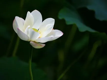 Awareness In Seven Directions Meditation