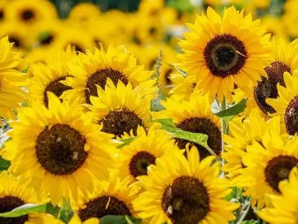 10 Minute Midday Reset: Affirmations To Return To Center