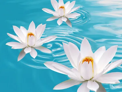 10 Minute Mindful Breathing Practice 