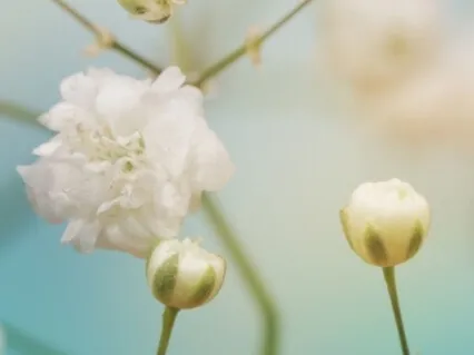 10-Minute Mindful Flow Of Breath Guided Meditation