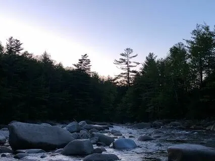 10 Minute Mindfulness Break