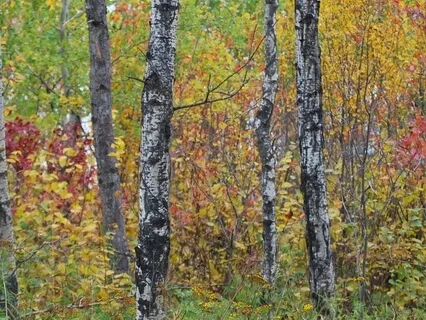 10 Minute Morning Gratitude Meditation