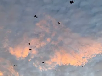 10 Minute Morning Gratitude Meditation