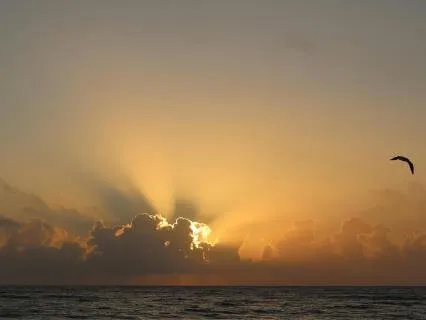 10-Minute Morning Gratitude Meditation