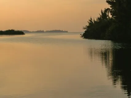 10 Minute Morning Grounding