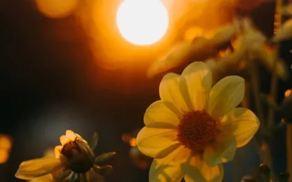 10-Minute Morning Meditation 