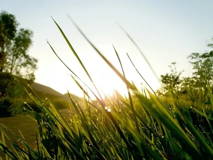 10 Minute Morning Meditation