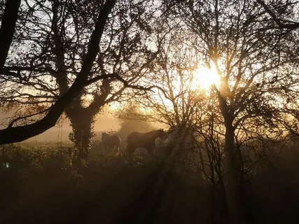 10-Minute Morning Meditation - Bring A Quality Into Your Day