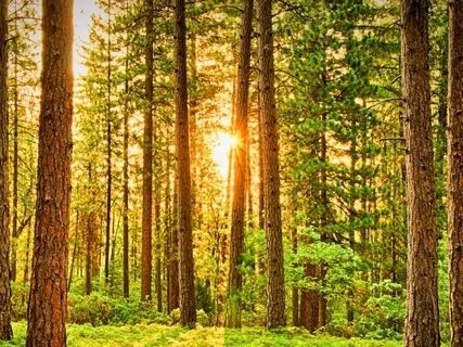10-Minute Morning Meditation For Energy