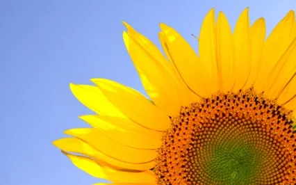 10-Minute Morning Meditation For Focus