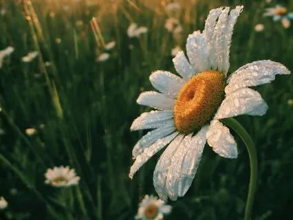 10-Minute Morning Meditation To Harvest Optimism