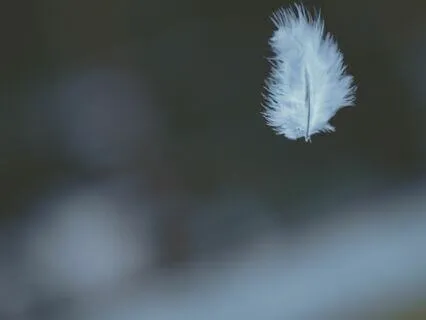 10 Minute Past Life Guided Meditation