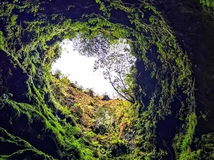 Relaxation Through Breath & Body Scan