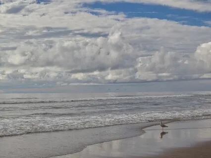 Sea Of Meditation (10min)