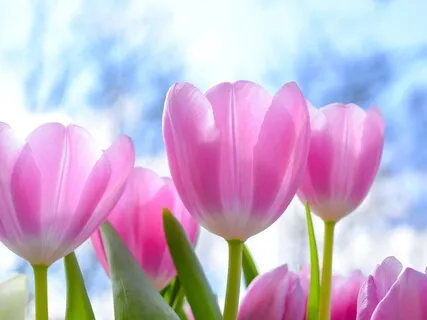 10 Minute Practice To Connect You To Your Breath