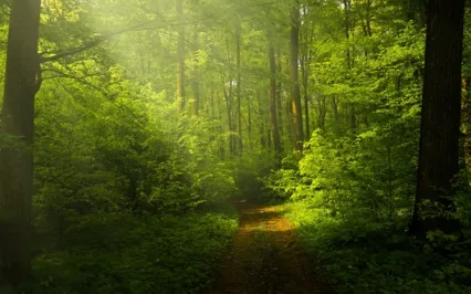 10 Minute Sound Bath For Relaxation & Stress Relief