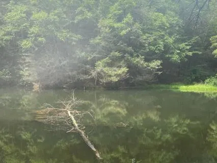 10 Minute Sound Bath For Relaxation And Stress Relief