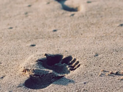 10 Minute Vipassana Body Scan - On The Feet 