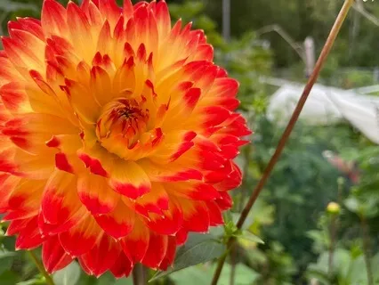 10 minuter meditation