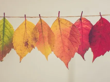 Awareness Of Breath Practice