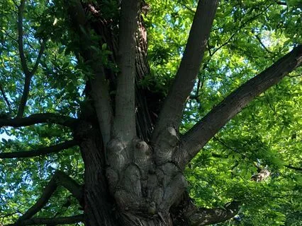 10 Minutes Grounding Meditation For Overwhelm And Stress