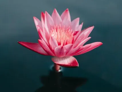 10 Minutes Guided Meditation For Calm And Deep Connection.