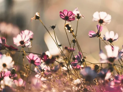 Loving-Kindness Practice For Building Self-Esteem