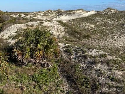 10 Minutes Meditation For Strengthening Boundaries