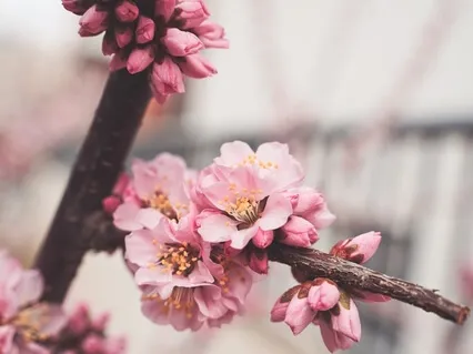 10 Minutes Of Mindfulness