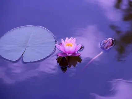 10 Minutes Of 3-6-9 Breathing