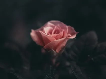 10 Minutes Of Mindfulness 