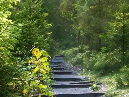 10 Minutes Of Peace : A Gentle Reset For Overthinking