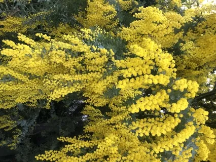 10 Minutes Of Presence With Sounds & Thoughts