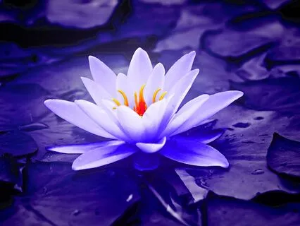 10-Minutes Of Slow Sighing Breathing