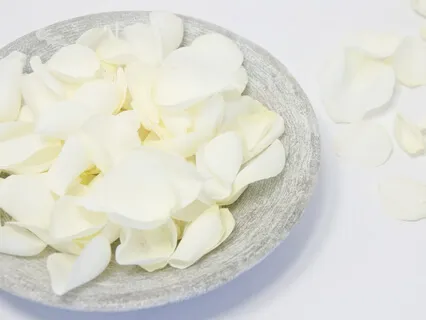 10 Minutes of Tranquility