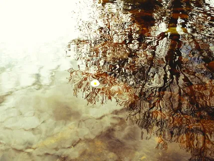 Create Space For Self-Compassion