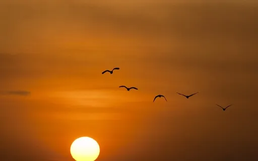 10 Minutes soin sonore sommeil profond (bols cristal)