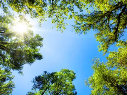 10 Minutes To Calm Anxiety