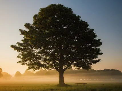 10 Minutes To Center